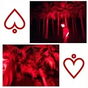 Мы